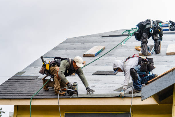 Professional Roof Inspection technician working in Fultonham, OH